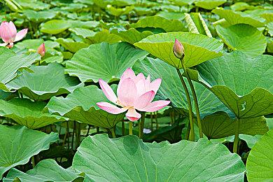 TGA 2023公布新作数猛增至61款 一半是动作冒险